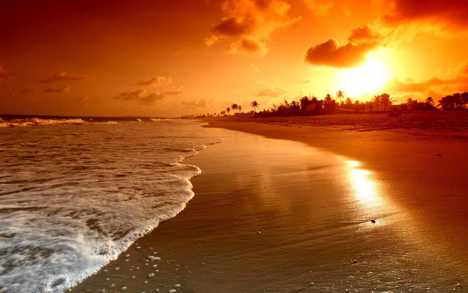 Contempler le coucher de soleil — signal de fin de journée pour l'horloge biologique